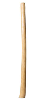 Medium Size Natural Finish Didgeridoo (TW1230)
